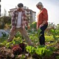 Wi-Fi Marketing for Community Gardens: How to Connect with Gardeners