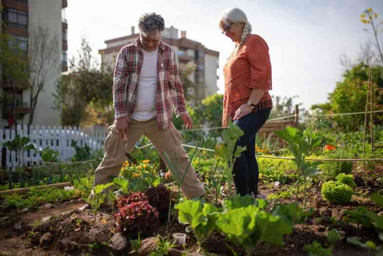 Wi-Fi Marketing for Community Gardens: How to Connect with Gardeners